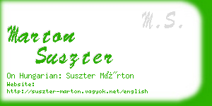 marton suszter business card